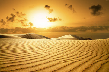 Gold desert. Sunset beach.
