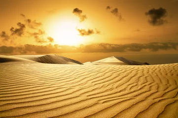 Zelfklevend Fotobehang Gold desert. Sunset beach. © Igor Chaikovskiy