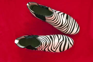 Poster zebra texture women shoes on white background © Danilchenko Julia