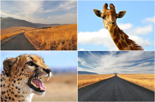 Fototapeta afrique du sud 3