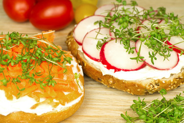 Simple vegetarian sandwiches with carrots and raddishes, fresh watercress