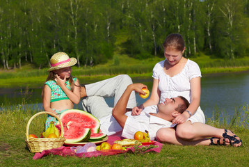 family picnic in park