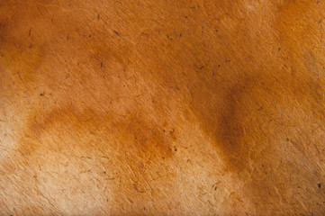 Old paper grunge background