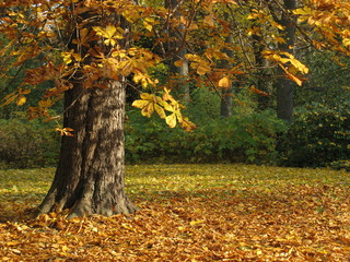 Stimmungsvoller Herbst