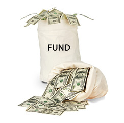 Bag with fund
