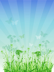 Obraz premium summer floral background