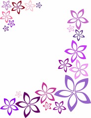 violet frame