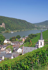 Fototapeta na wymiar Wino Assmannshausen słynnego miasta w dolinie Renu