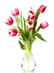 pink and white tulips in the transparent vase isolated on white.