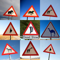 Animal Crossing Signs