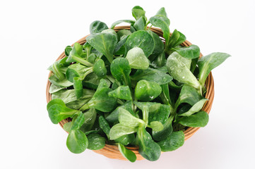 Obraz premium Valeriana nel cestino