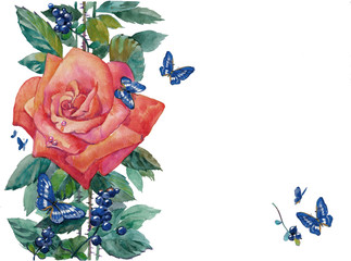 red rose, currants, and blue butterfly