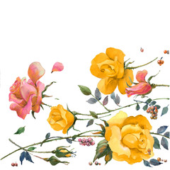 Yellow roses and currants