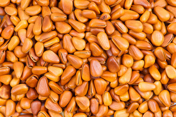 Pine nut