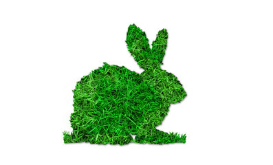 Picture of a grass rabbit  isolated on white background