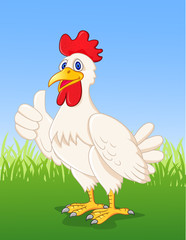 Chicken cartoon with thumb up