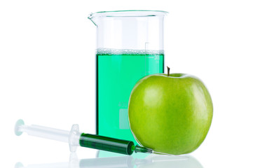 Genetically modified organism