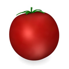 3d render of tomato vegetable