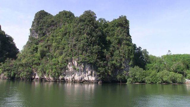phang nga mangrove