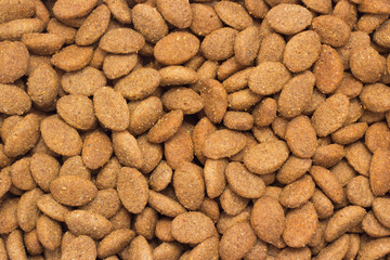 Dog Food