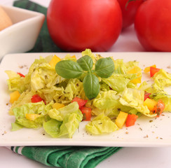 Frischer Salat