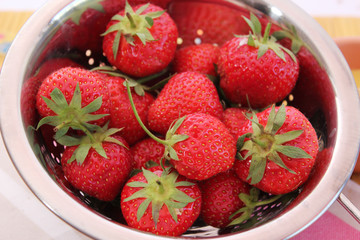 Erdbeeren