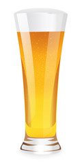 Beer in glass. Vector illustration on white background