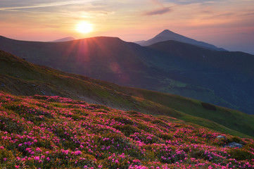 Fototapeta na wymiar Letni krajobraz w górach ze słońcem.