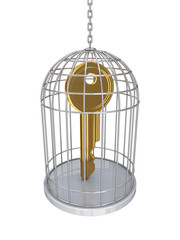 Golden key in a cage.