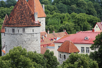 Towers of Tallinn