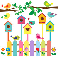 Plakaty  domy ptaków