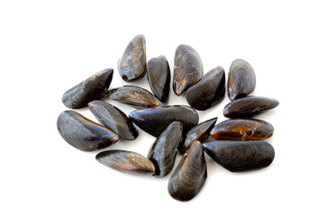 fresh mussels on white background