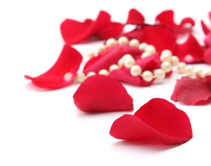 fine pearl beads and red roses petals