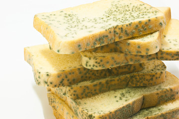 moldy bread