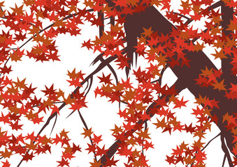 グラフィックパターン