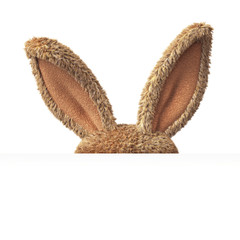 Stuffed bunny hiding behind blank board