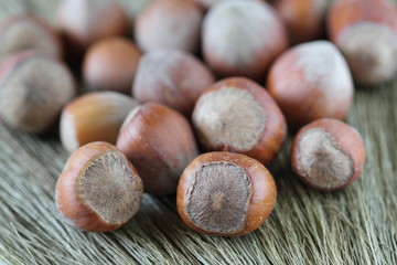 Hazelnut