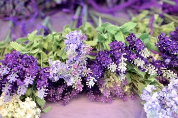 fiori di lavanda