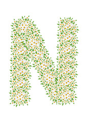 N, daisy flower alphabet isolated on white background