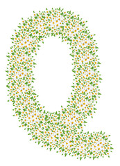 Q, daisy flower alphabet isolated on white background