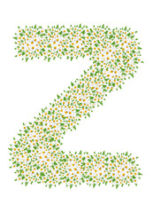 Z, daisy flower alphabet isolated on white background