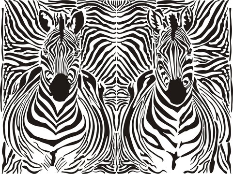 Zebra pattern background