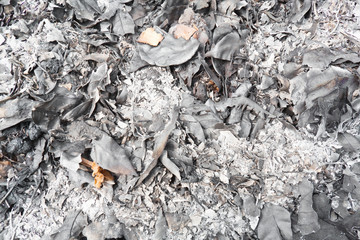 Ashes of leafage