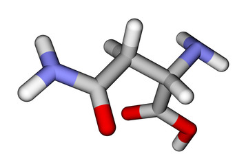 Amino acid asparagine 3D molecular model