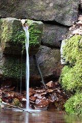 Verwunschene Quelle im Kaufunger Wald