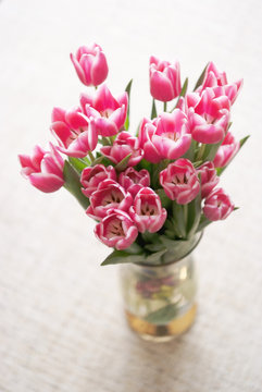 tulips flowers in vase