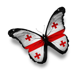 Georgian flag butterfly, isolated on white