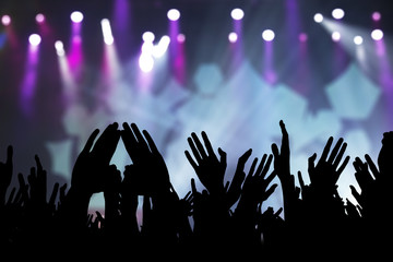Crowd at a concert
