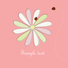 kamille und marienkäfer © ArtFoth