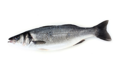 Fresh fish isolated on white